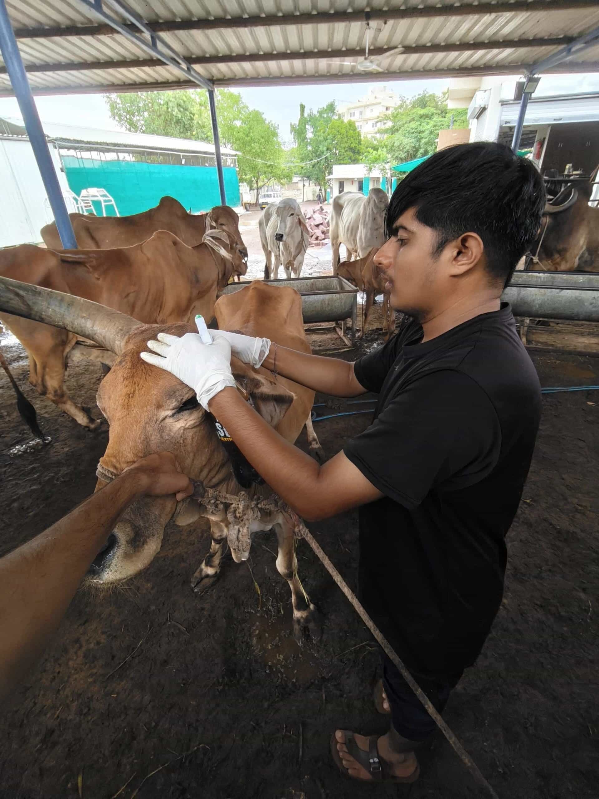 Animal hospital gallery 9