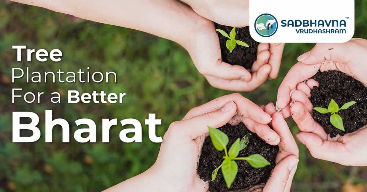 Tree Plantation for a Better Bharat