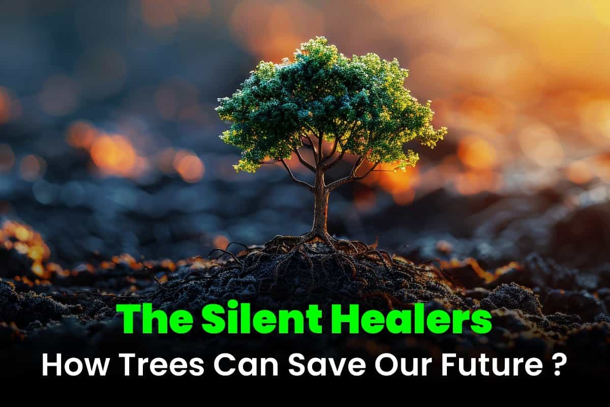The Silent Healer – How Trees Can Save Our Future?