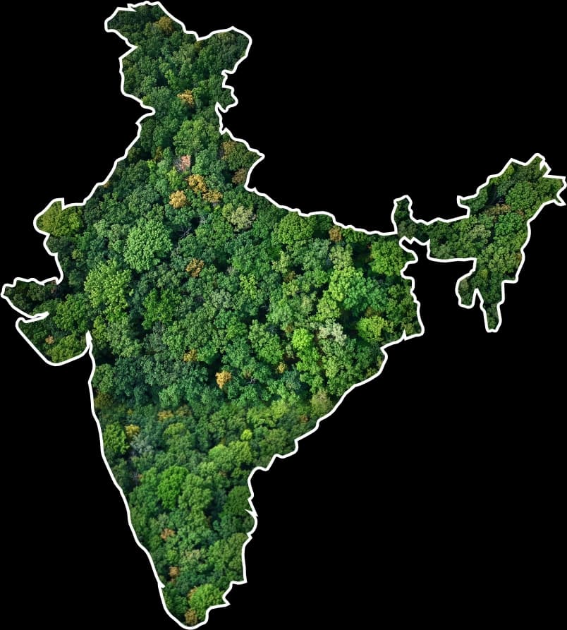 Tree plantation across India