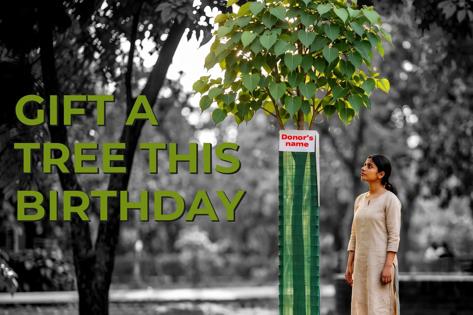 Gift a Tree This Birthday: A Meaningful Way to Celebrate and Give Back to Nature