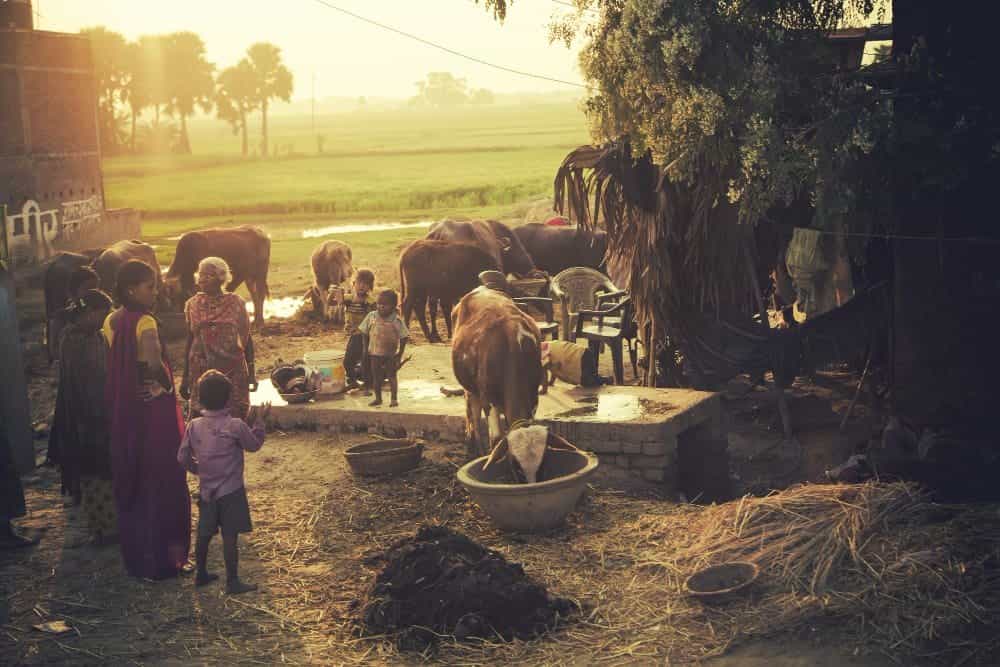 Sustainable Living Practices from Indian Villages