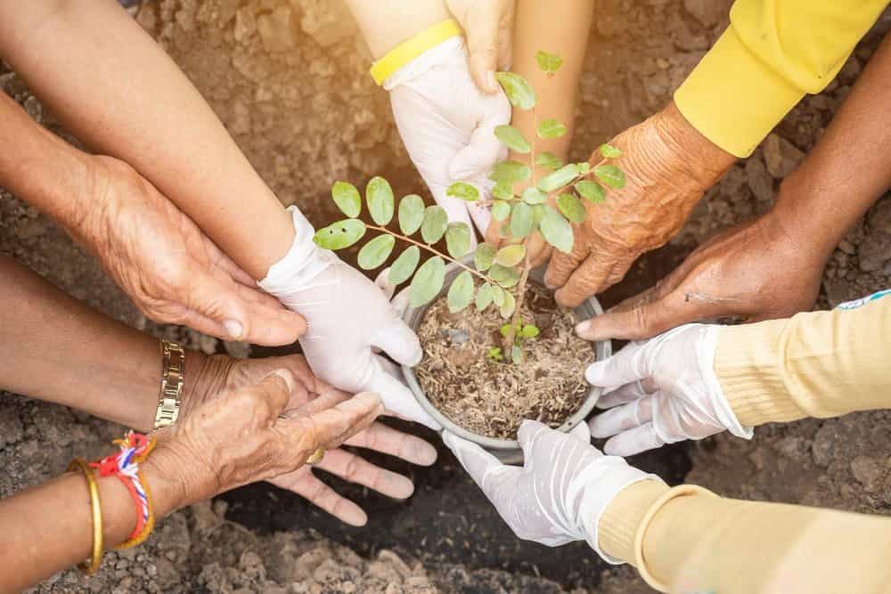 Planting the Seeds of Change – A Community Effort
