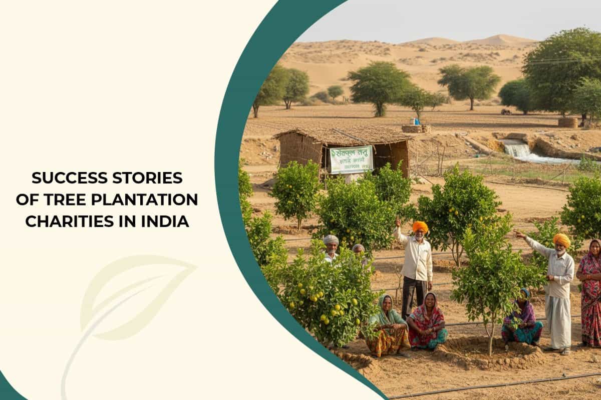 Success Stories of Tree Plantation Charities in India