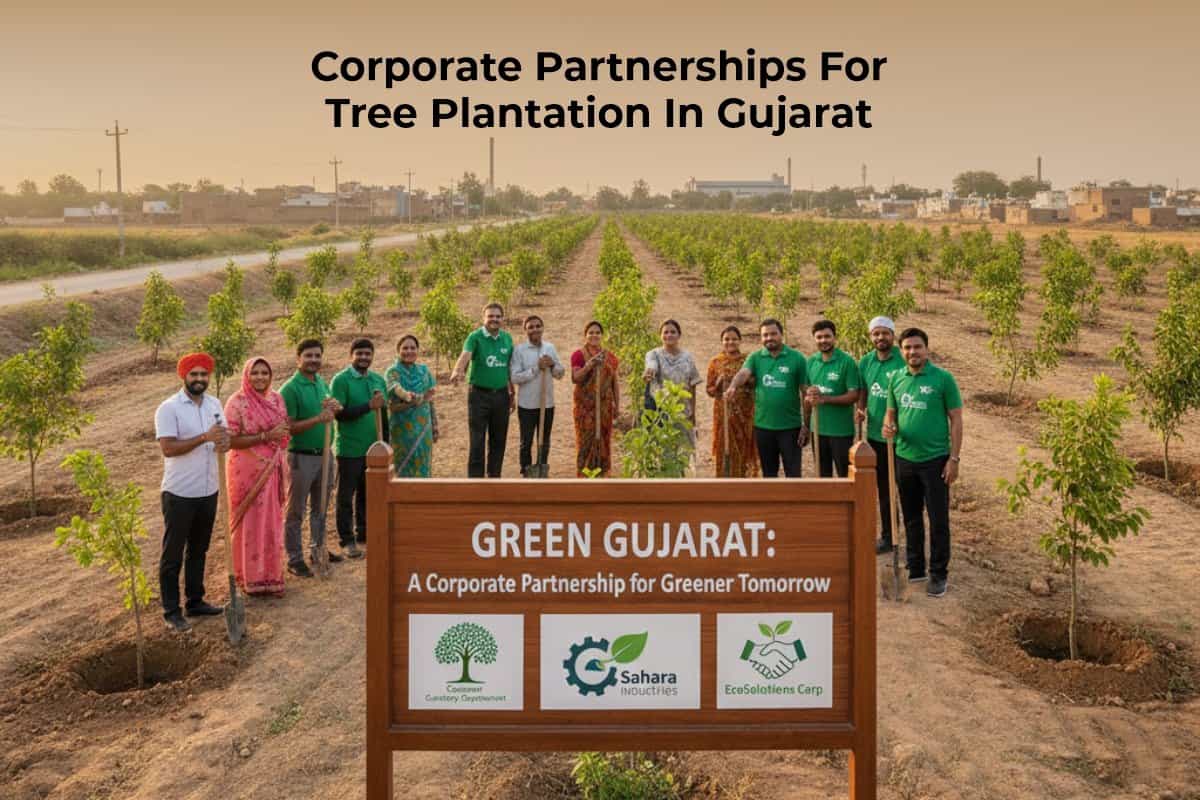 Corporate Partnerships for Tree Plantation in Gujarat: CSR & Impact