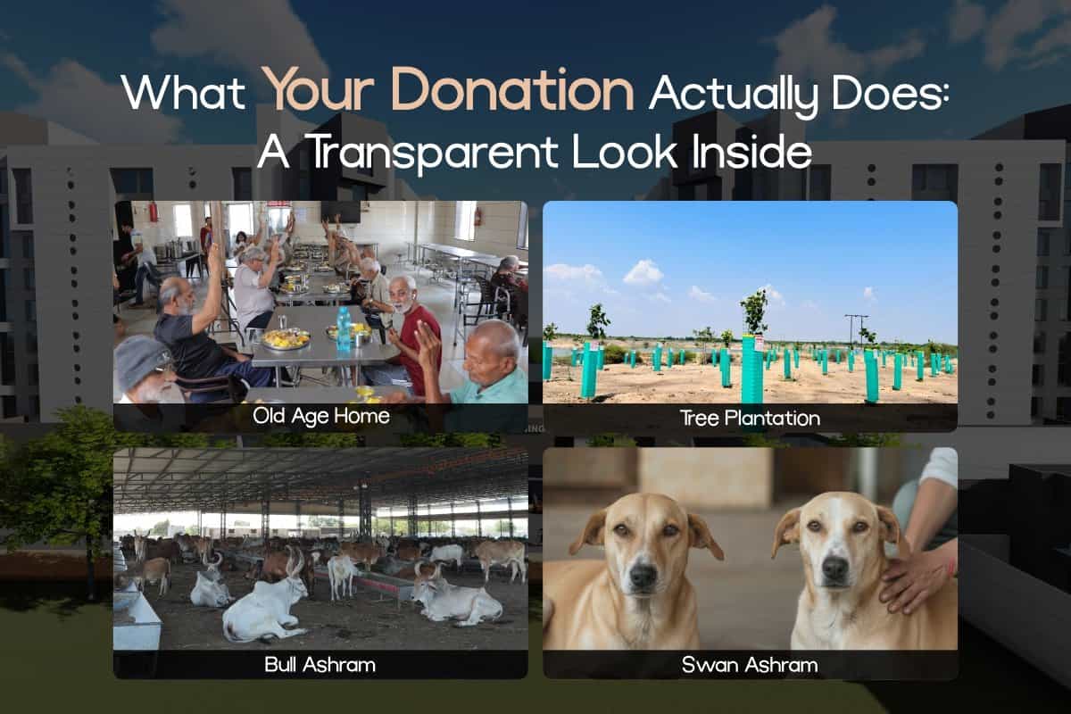 WHAT YOUR DONATION ACTUALLY DOES: A TRANSPARENT LOOK INSIDE SADBHAVNA DHAM