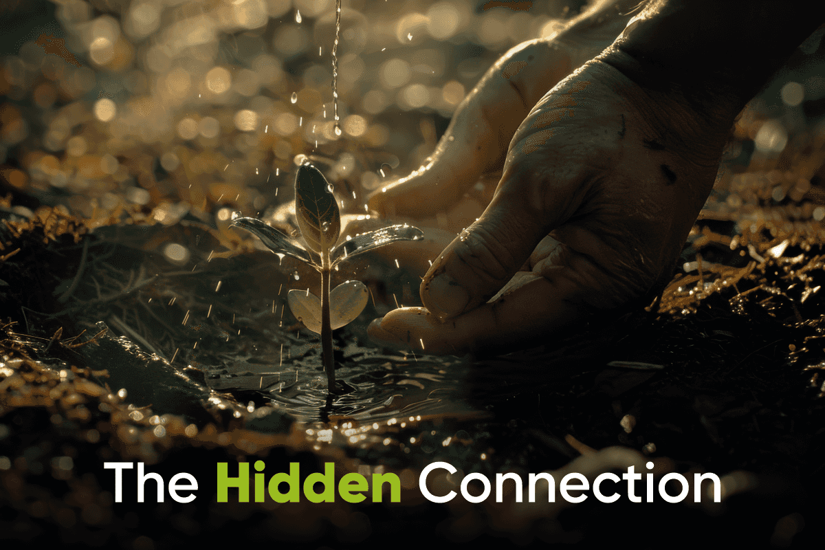 Tree Plantation and Water Conservation: The Hidden Connection