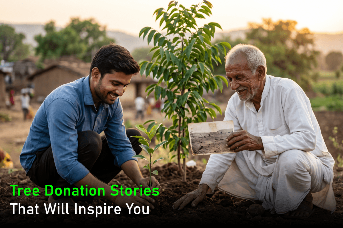 Tree Donation Stories That Will Inspire You