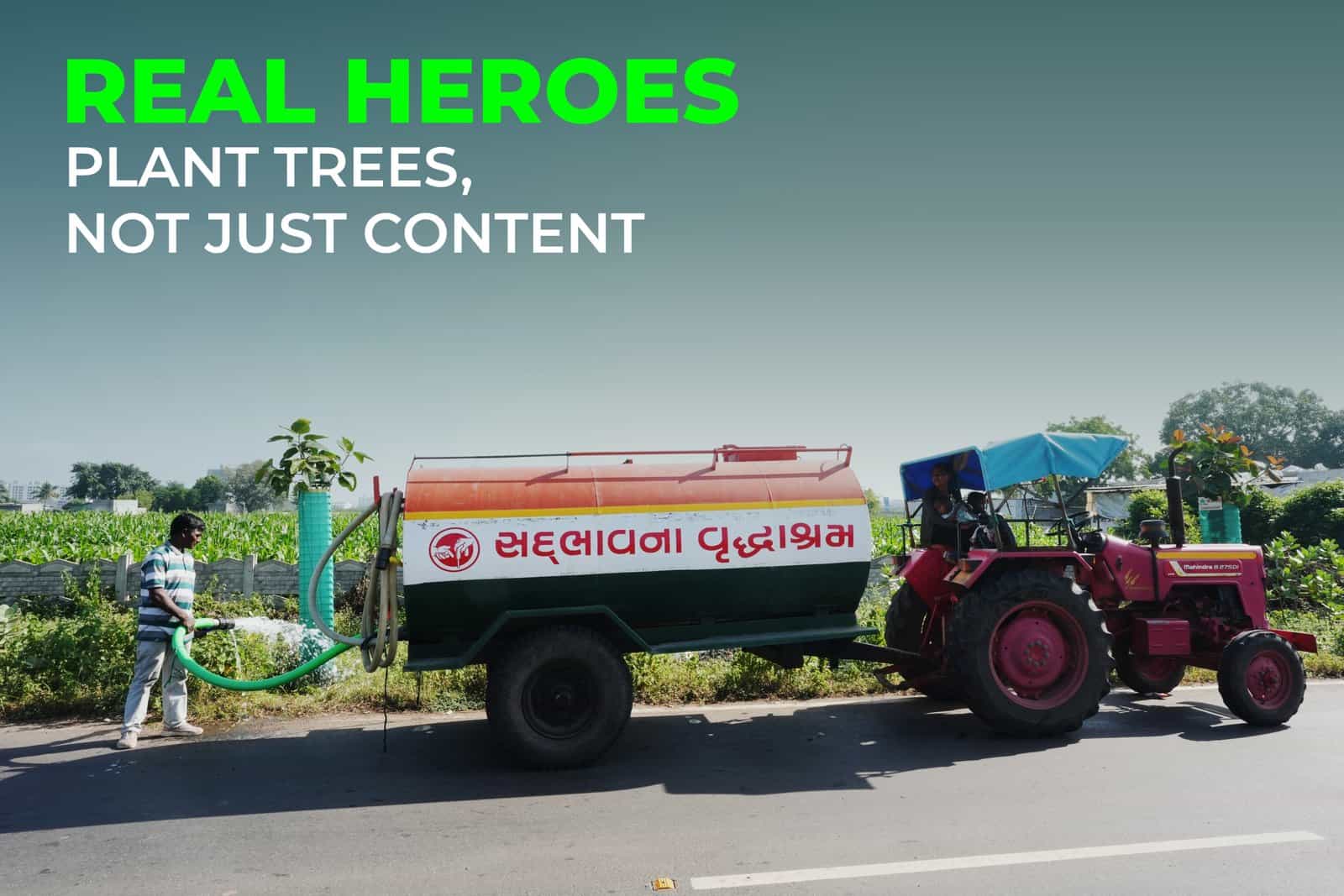 Real Heroes Plant Trees, Not Just Content