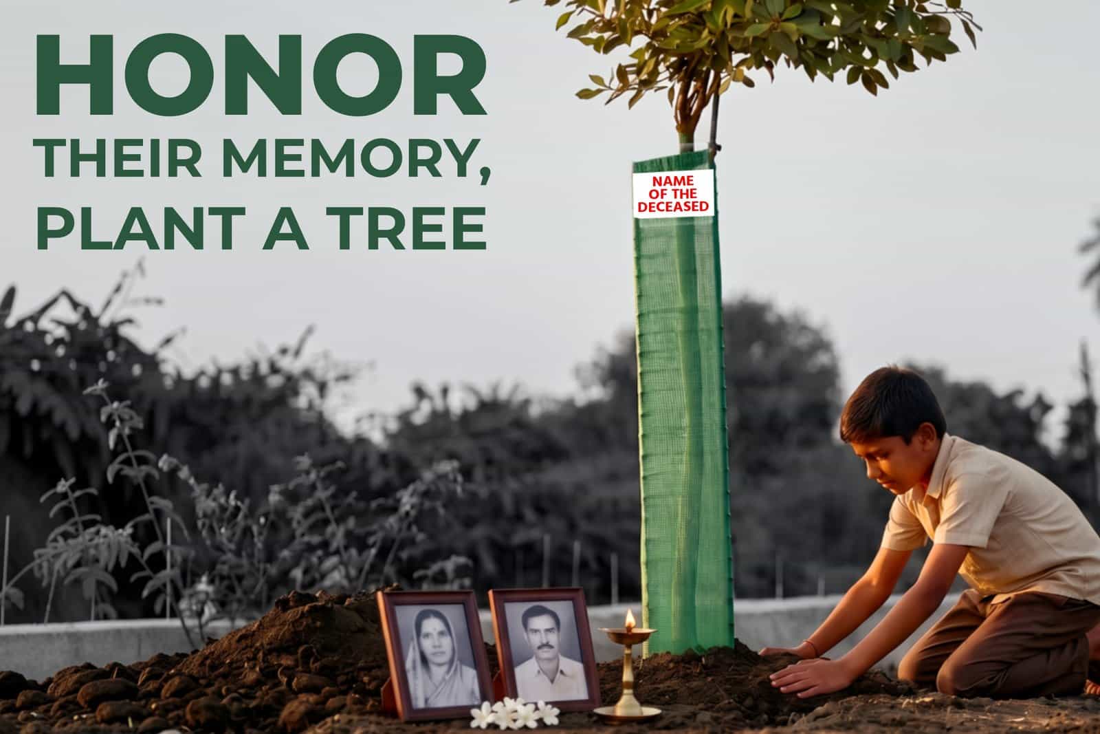 Honor the Memory of Your Loved Ones Through Memorial Tree Plantation