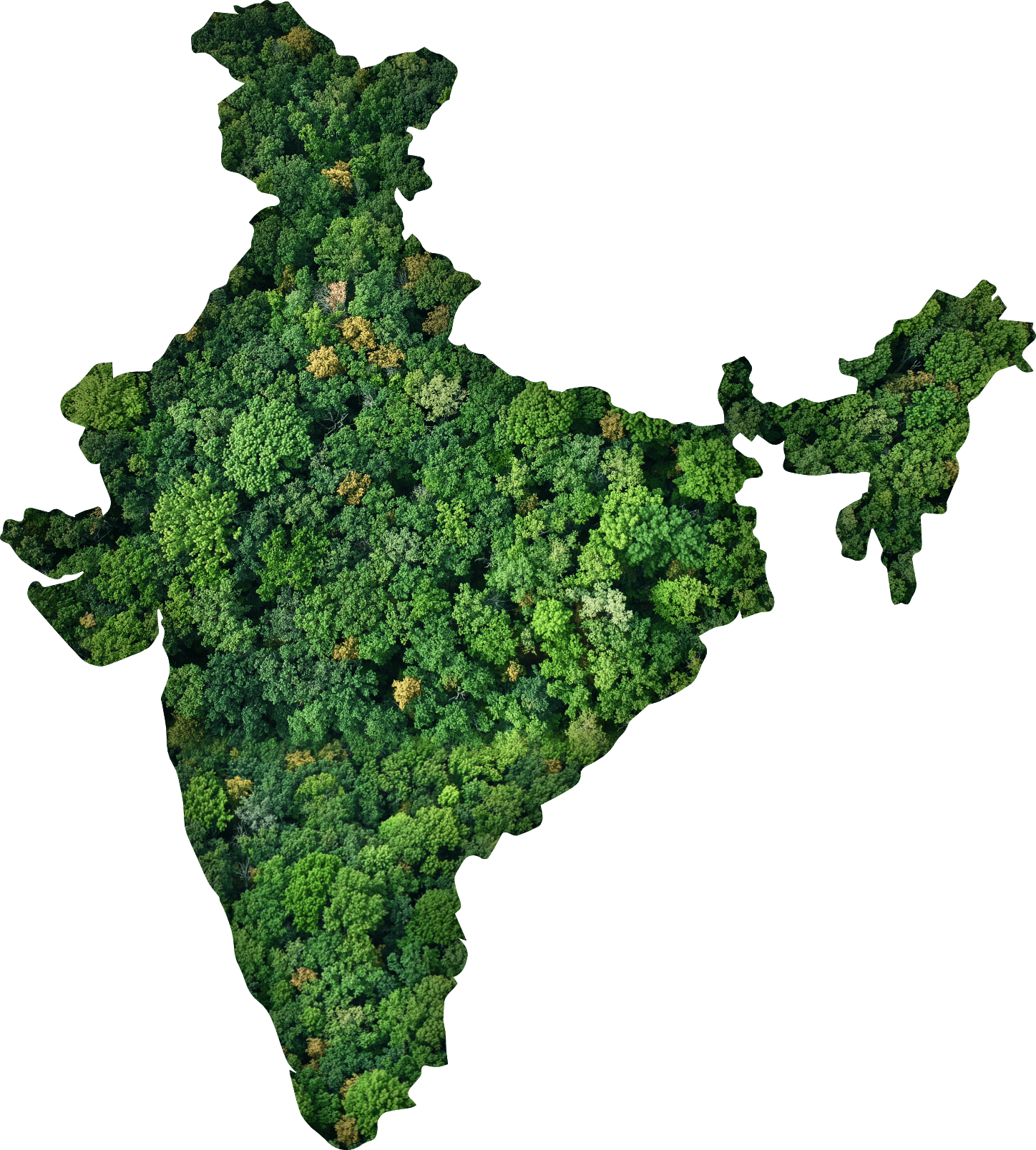 sadbhavna-tree-plantation
