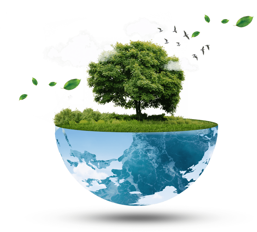 sadbhavna-tree-plantation