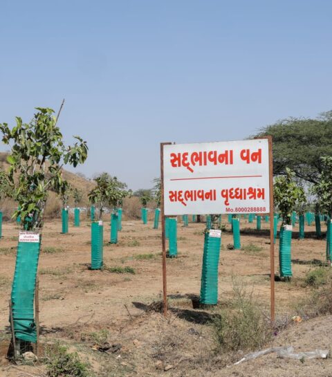 Featured Image