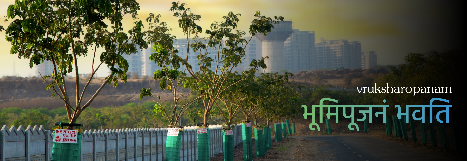 sadbhavna-tree