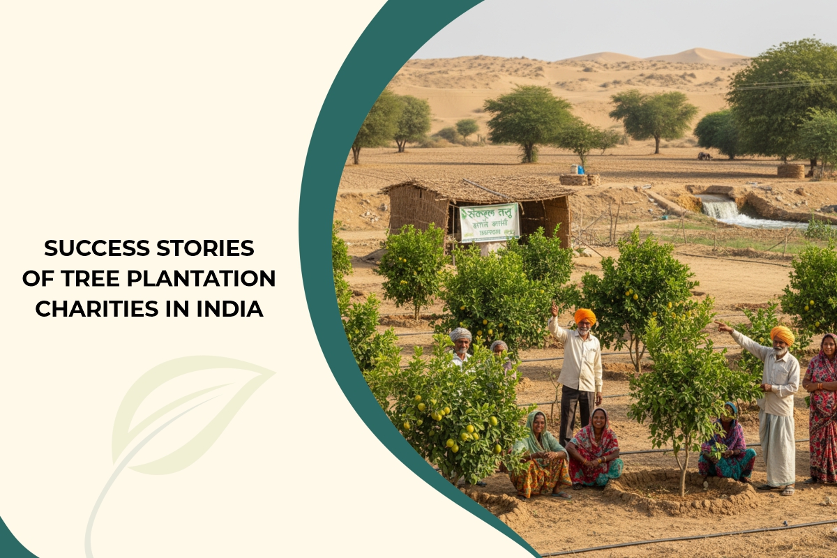 Succesfull Stories Plantation Charities in india