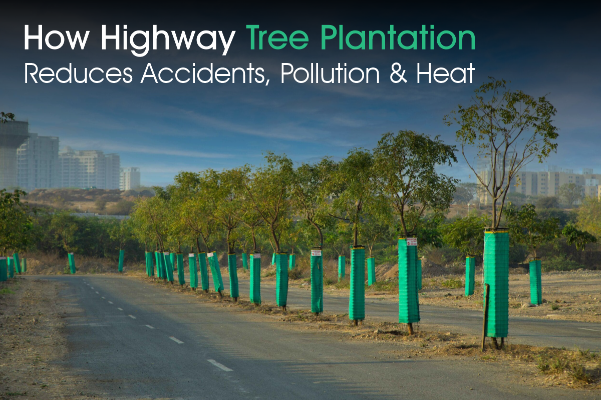 How Highway tree plantation reduces accident, pollution & heat