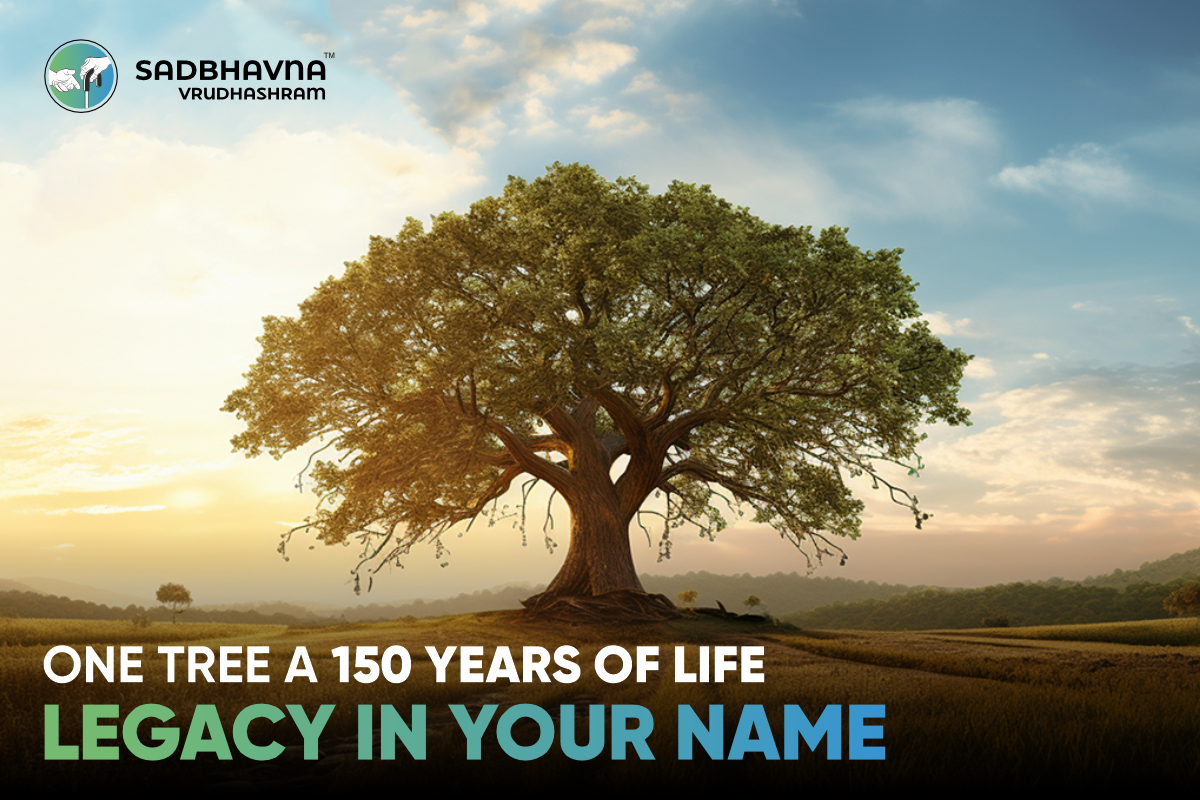 One Tree. 150 Years of Life. A Legacy in Your Name