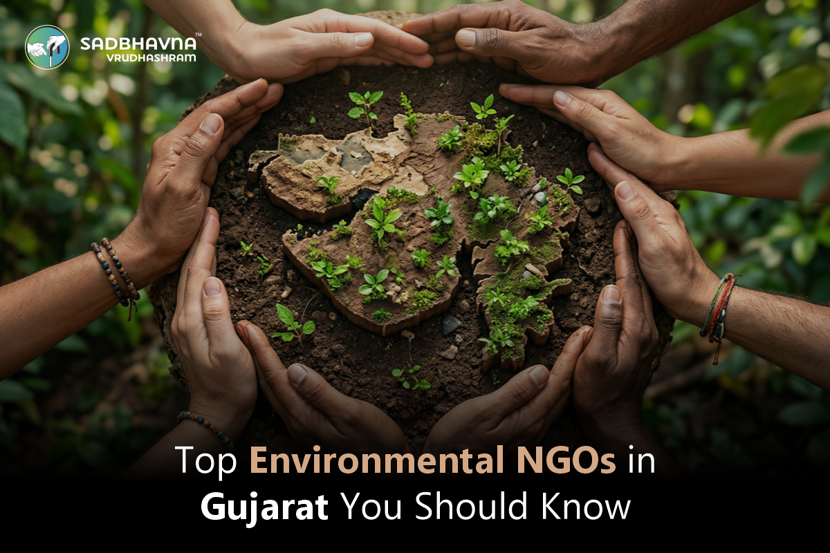Top Environmental NGOs in Gujarat You Should Know
