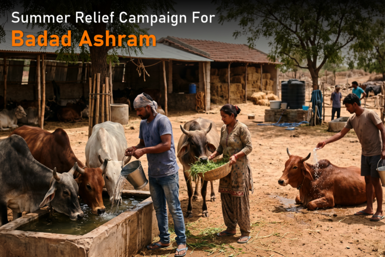 Summer Relief Campaign for Badad Ashram – How You Can Help