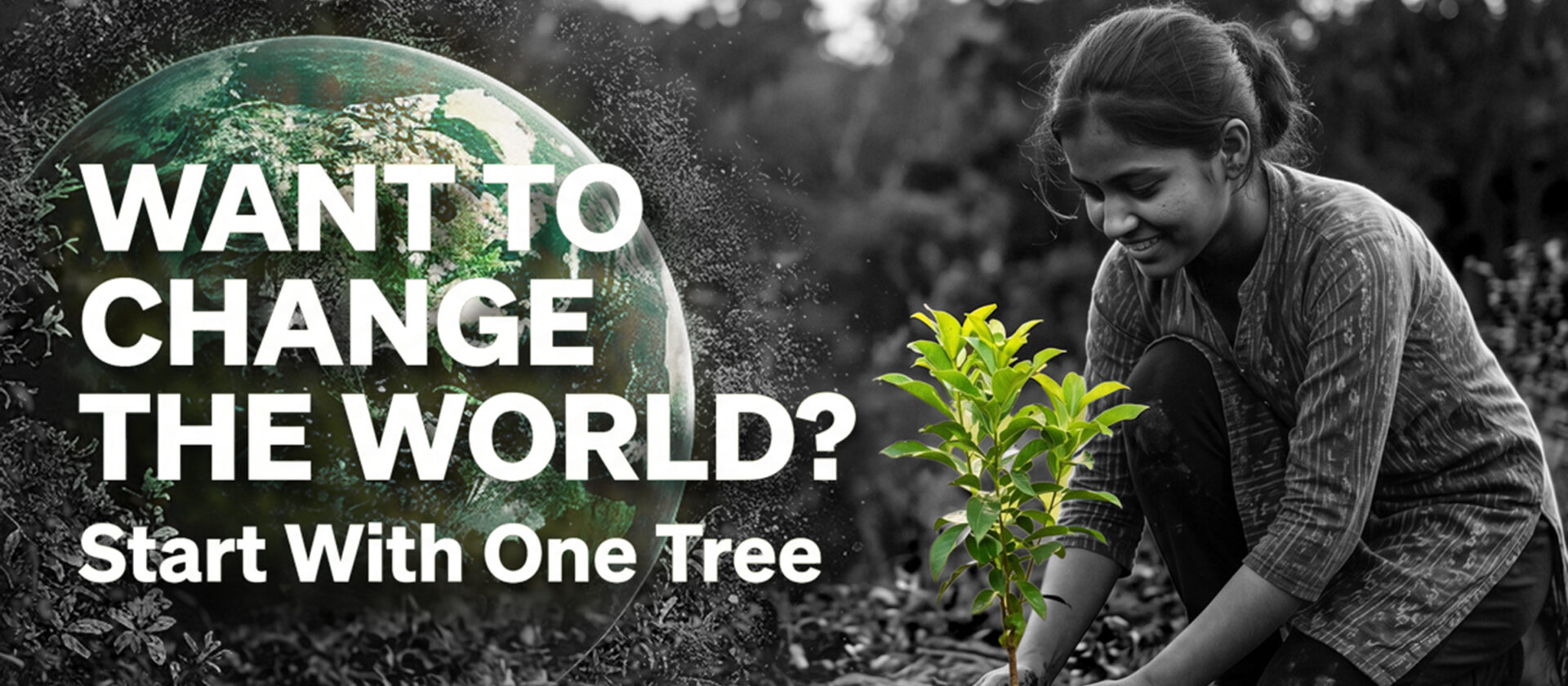 Want to Change the World Start With One Tree