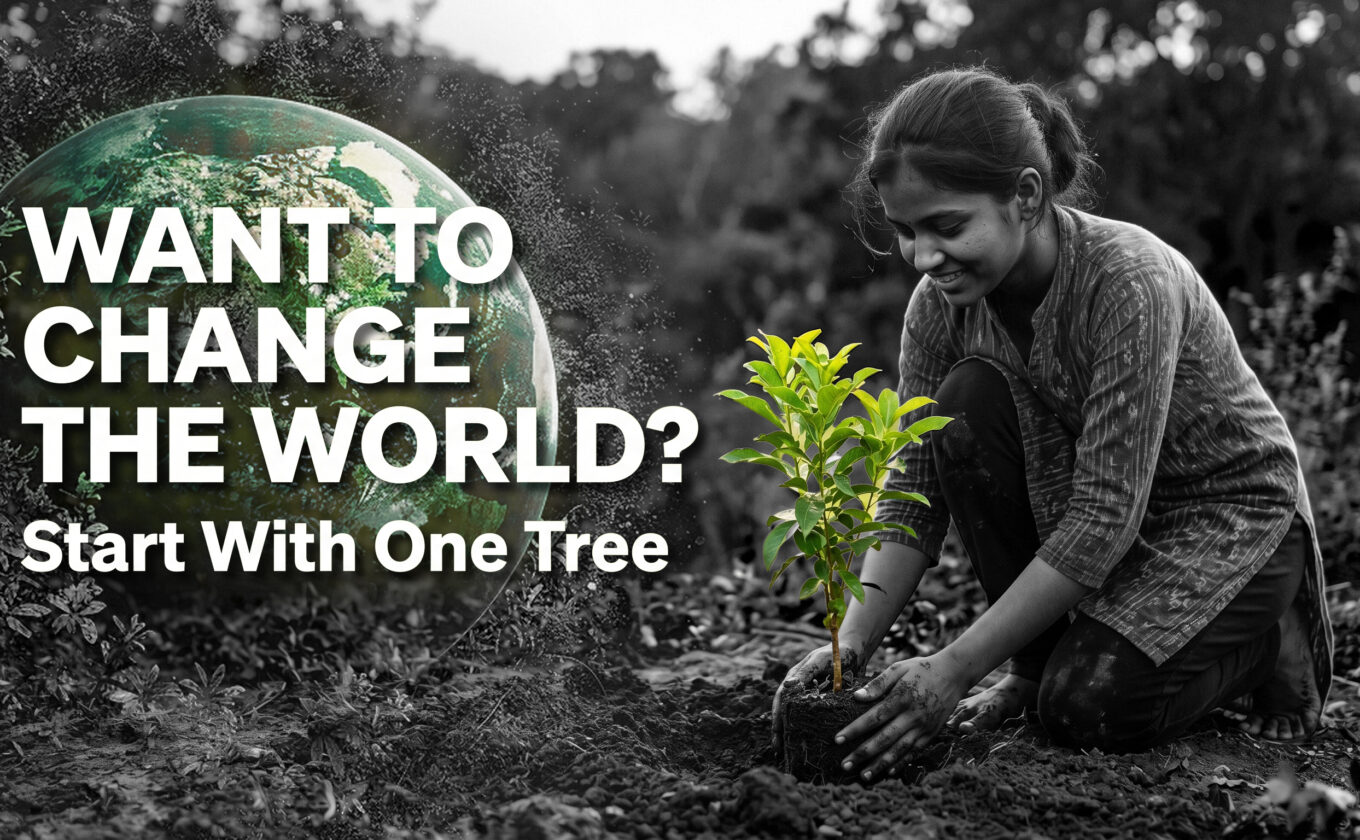 Want to Change the World Start With One Tree