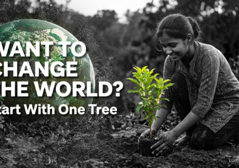 Want to Change the World Start With One Tree