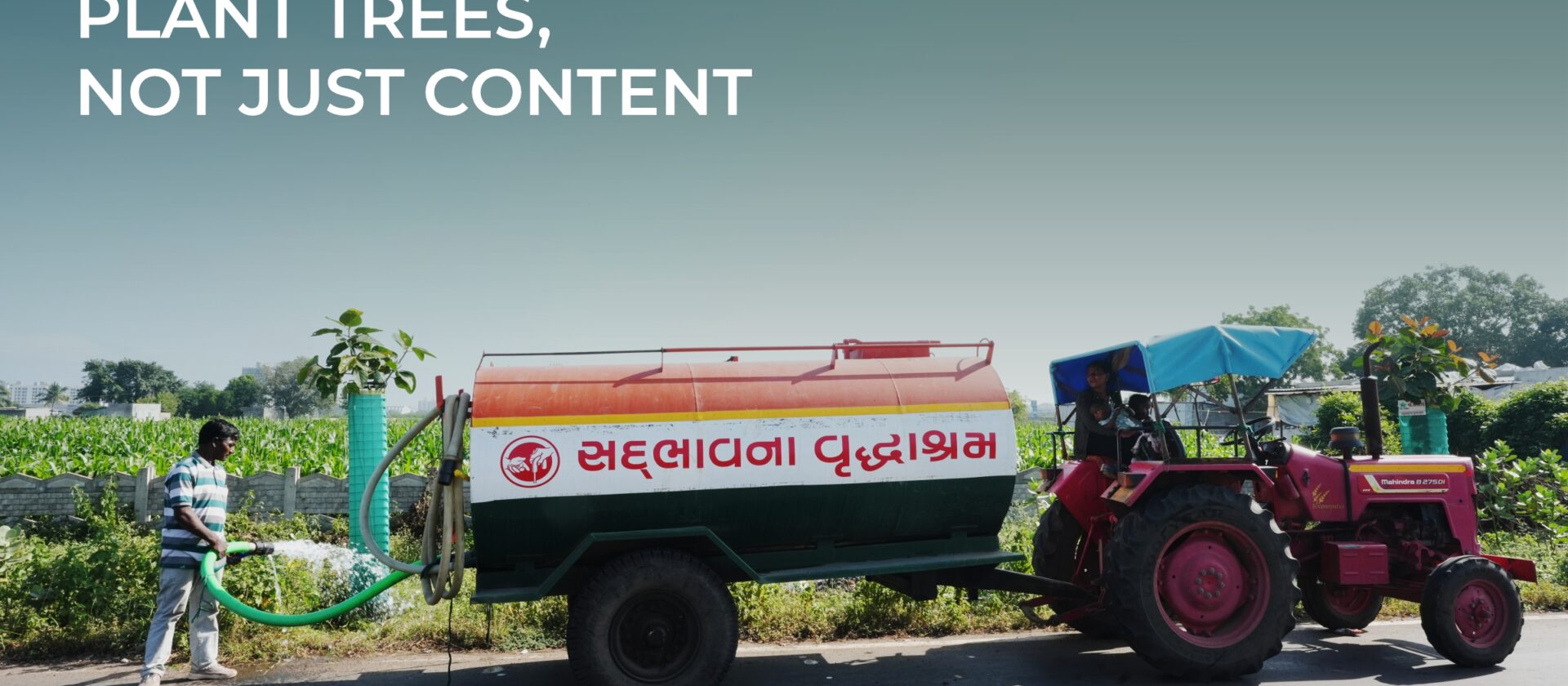 Real Heroes Plant Trees, Not Just Content