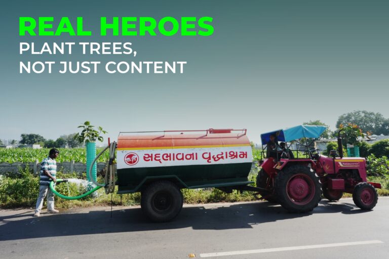 Real Heroes Plant Trees, Not Just Content