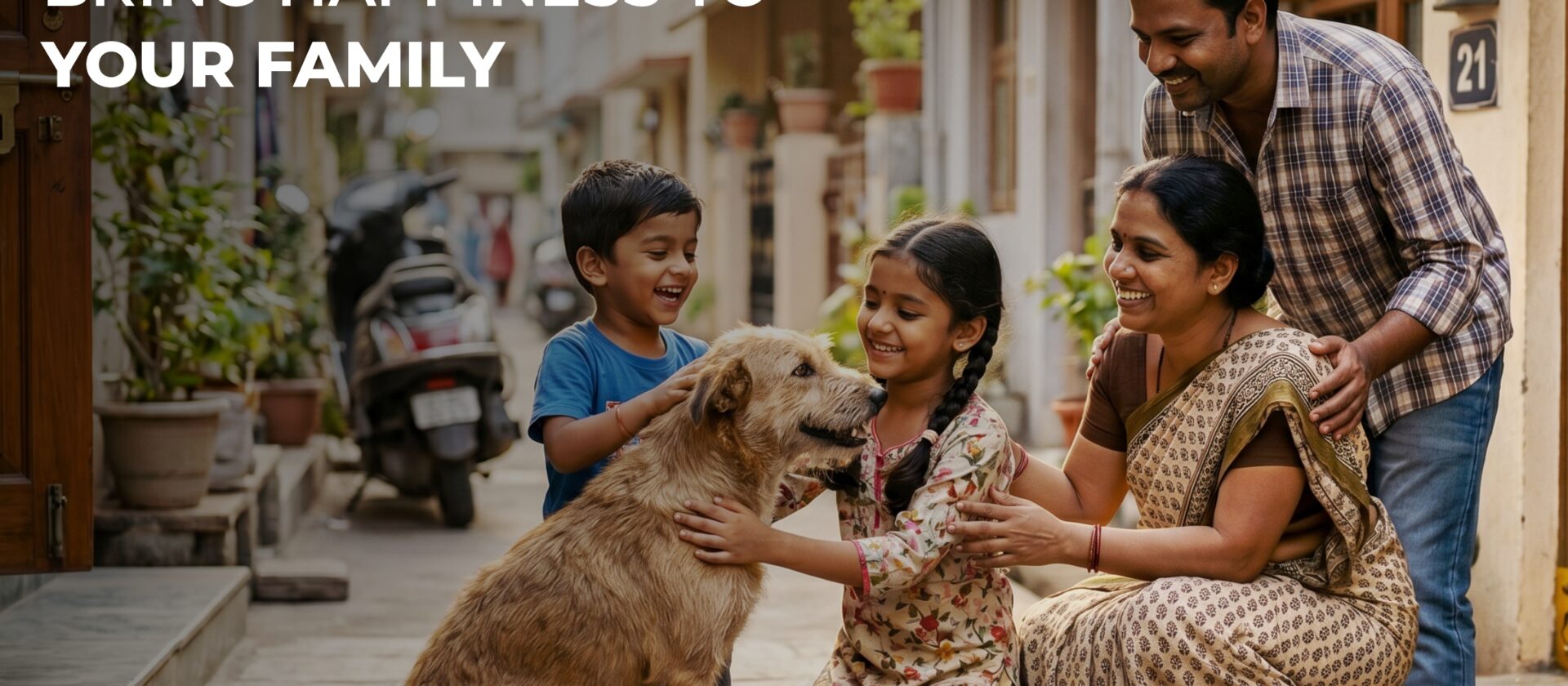 Dog Adoption Can Bring Happiness to Your Family