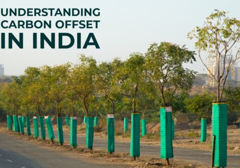 Understanding Carbon Offset in India Why It Matters for a Sustainable Future