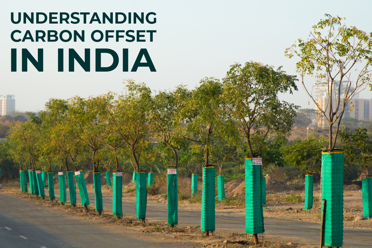 Understanding Carbon Offset in India Why It Matters for a Sustainable Future