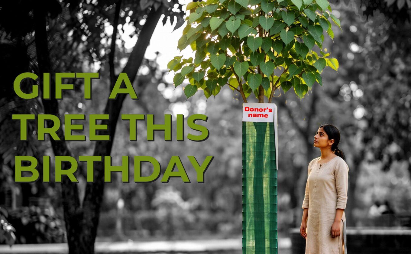 Gift a Tree This Birthday